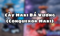 Cày Haki Bá Vương (Conqueror Haki)